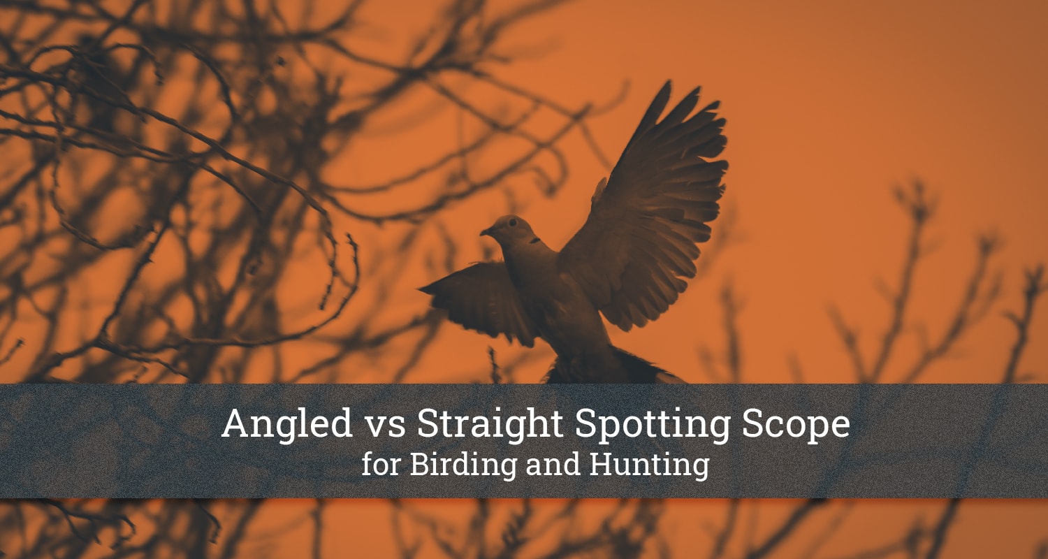 Angled vs Straight Spotting Scope for Birding and Hunting